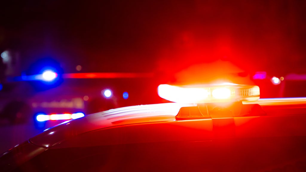 Driver killed in head-on collision with semi in central Minnesota — Plymouth Sports news