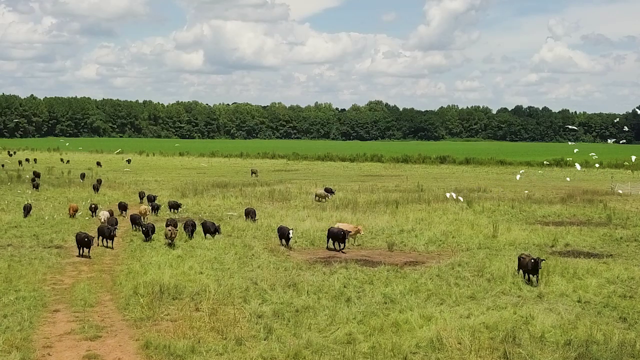 5 ON YOUR SIDE: Regenerative agriculture — Plymouth Health news