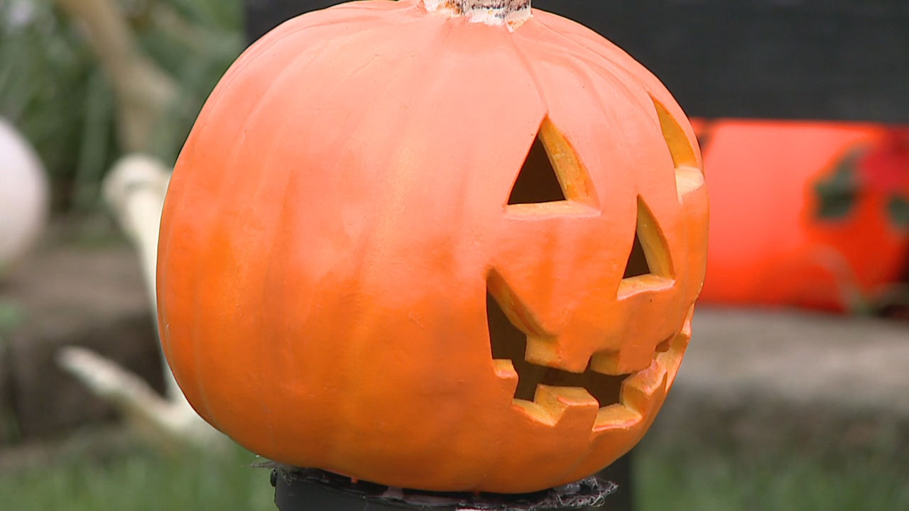 Things to do in Minnesota: 5 things to do this weekend (Oct. 30–Nov. 1) — FOX 9 News — Gopher